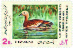 Merkwaardige en interessante weetjes over vogelpostzegels -15 Vogelbescherming – deel 2